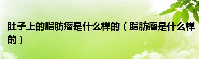 肚子上的脂肪瘤是什么样的（脂肪瘤是什么样的）