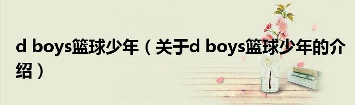 d boys篮球少年（关于d boys篮球少年的介绍）