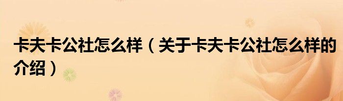 卡夫卡公社怎么样（关于卡夫卡公社怎么样的介绍）