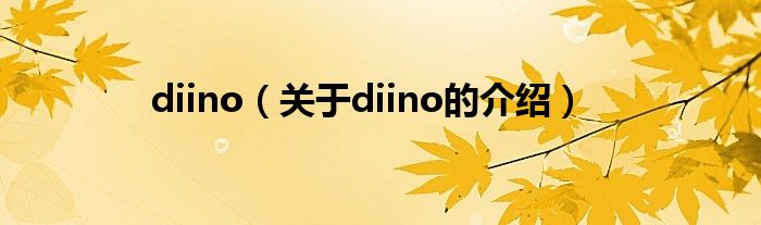 diino（关于diino的介绍）