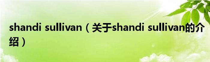 shandi sullivan（关于shandi sullivan的介绍）