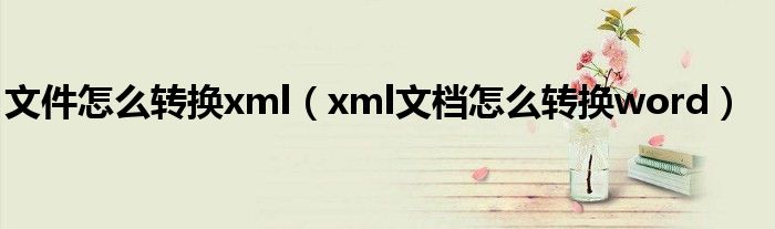 文件怎么转换xml（xml文档怎么转换word）