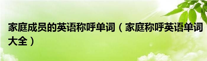 家庭成员的英语称呼单词（家庭称呼英语单词大全）