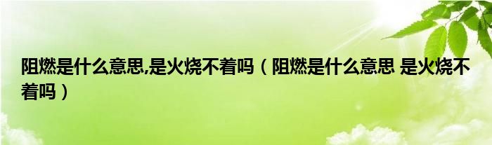 阻燃是什么意思,是火烧不着吗（阻燃是什么意思 是火烧不着吗）