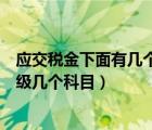 应交税金下面有几个二级科目（应交税金科目下要设置哪二级几个科目）