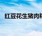 红豆花生猪肉粽子的做法（肉粽子的做法）