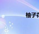 柚子花的香味（柚子花）