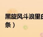 黑旋风斗浪里白条人物性格（黑旋风斗浪里白条）