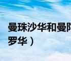 曼珠沙华和曼陀罗华的图片（曼珠沙华和曼陀罗华）