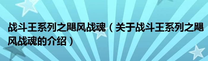 战斗王系列之飓风战魂（关于战斗王系列之飓风战魂的介绍）