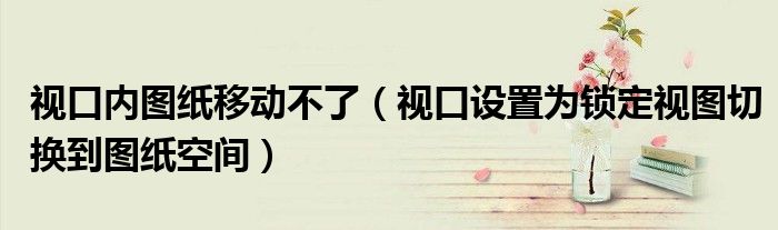 视口内图纸移动不了（视口设置为锁定视图切换到图纸空间）