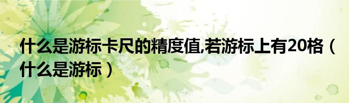 什么是游标卡尺的精度值,若游标上有20格（什么是游标）