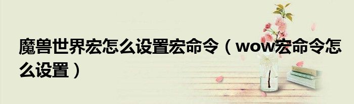 魔兽世界宏怎么设置宏命令（wow宏命令怎么设置）