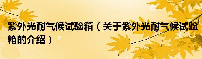 紫外光耐气候试验箱（关于紫外光耐气候试验箱的介绍）