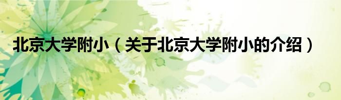 北京大学附小（关于北京大学附小的介绍）