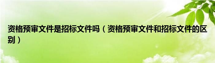 资格预审文件是招标文件吗（资格预审文件和招标文件的区别）