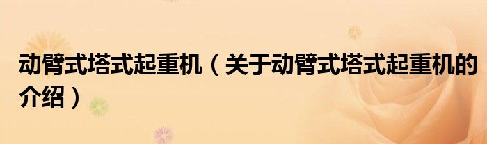 动臂式塔式起重机（关于动臂式塔式起重机的介绍）