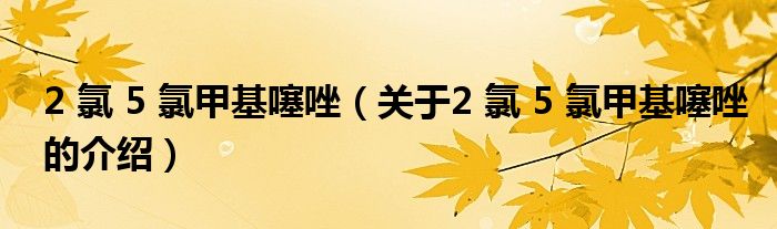 2 氯 5 氯甲基噻唑（关于2 氯 5 氯甲基噻唑的介绍）