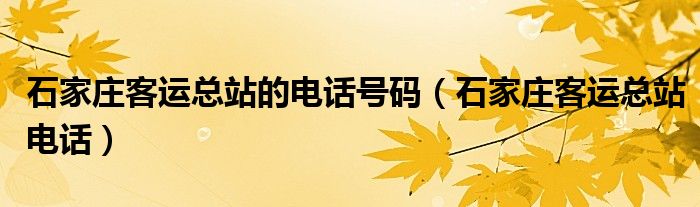 石家庄客运总站的电话号码（石家庄客运总站电话）