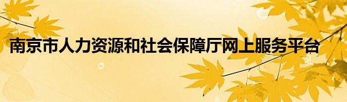 南京市人力资源和社会保障厅网上服务平台