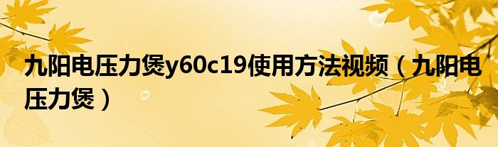 九阳电压力煲y60c19使用方法视频（九阳电压力煲）