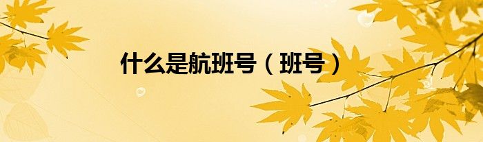 什么是航班号（班号）