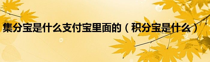 集分宝是什么支付宝里面的（积分宝是什么）
