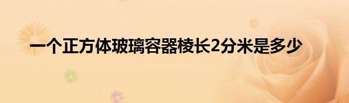 一个正方体玻璃容器棱长2分米是多少