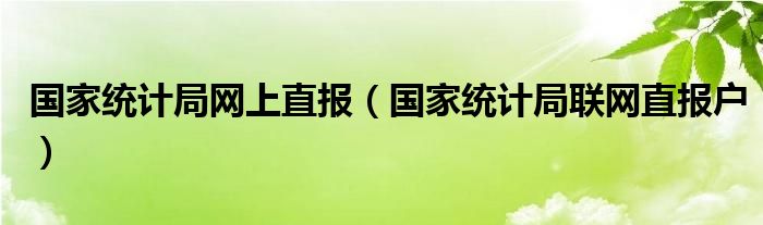 国家统计局网上直报（国家统计局联网直报户）