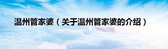 温州管家婆（关于温州管家婆的介绍）