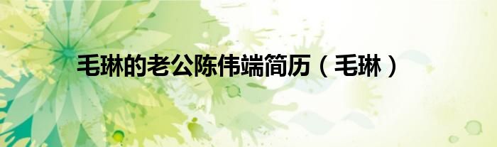 毛琳的老公陈伟端简历（毛琳）
