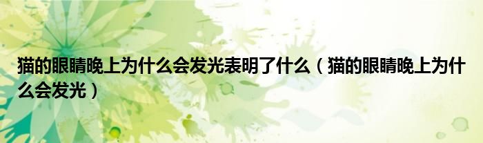 猫的眼睛晚上为什么会发光表明了什么（猫的眼睛晚上为什么会发光）