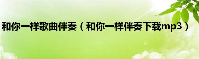 和你一样歌曲伴奏（和你一样伴奏下载mp3）