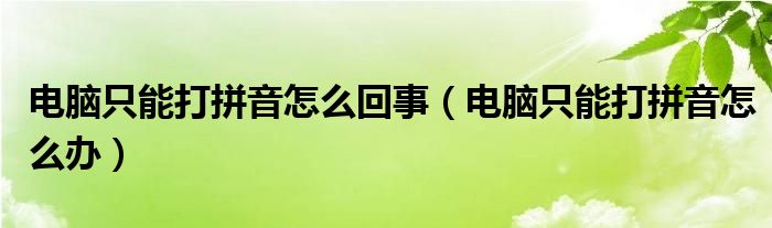 电脑只能打拼音怎么回事（电脑只能打拼音怎么办）