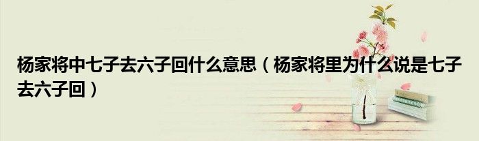 杨家将中七子去六子回什么意思（杨家将里为什么说是七子去六子回）