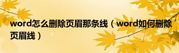 word怎么删除页眉那条线（word如何删除页眉线）