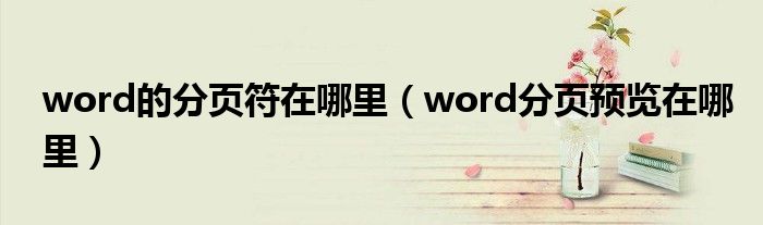 word的分页符在哪里（word分页预览在哪里）
