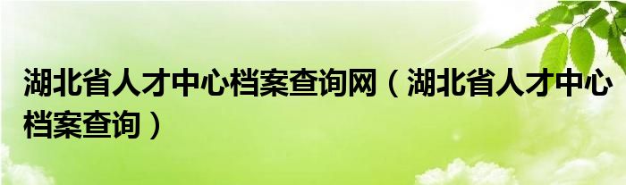 湖北省人才中心档案查询网（湖北省人才中心档案查询）