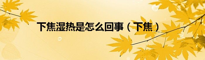 下焦湿热是怎么回事（下焦）