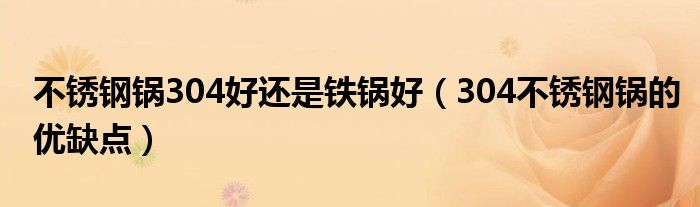不锈钢锅304好还是铁锅好（304不锈钢锅的优缺点）