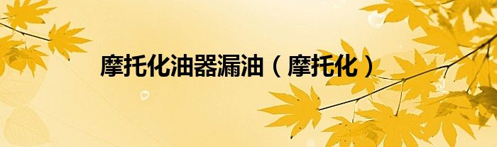 摩托化油器漏油（摩托化）