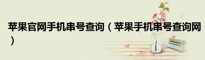 苹果官网手机串号查询（苹果手机串号查询网）