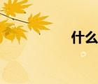 什么是航班号（班号）