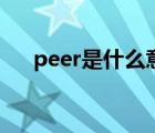 peer是什么意思啊（peer是什么意思）