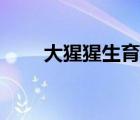 大猩猩生育（雌性大猩猩的生殖哭）