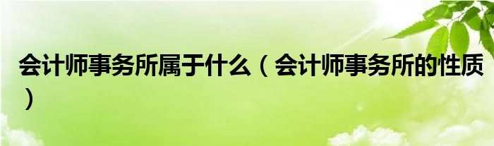 会计师事务所属于什么（会计师事务所的性质）