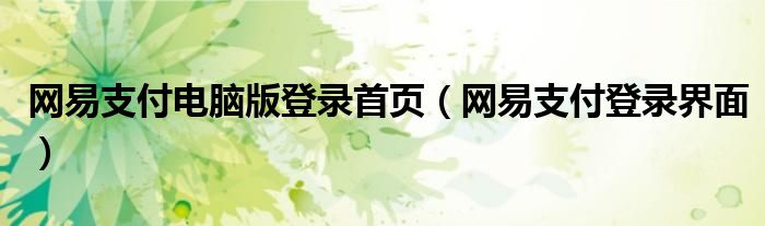 网易支付电脑版登录首页（网易支付登录界面）