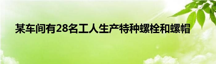 某车间有28名工人生产特种螺栓和螺帽