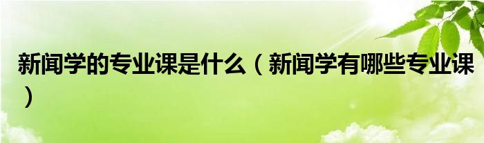 新闻学的专业课是什么（新闻学有哪些专业课）
