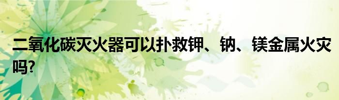 二氧化碳灭火器可以扑救钾、钠、镁金属火灾吗?